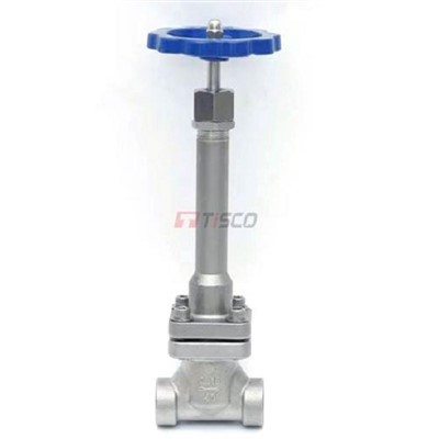 Cryogenic Globe Valve